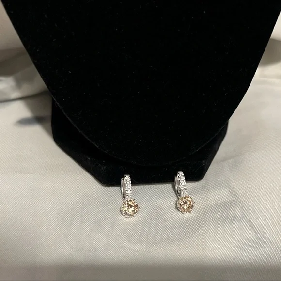 Beautiful Silver and Gold-Toned Hoop Earrings - Picture 8 of 8